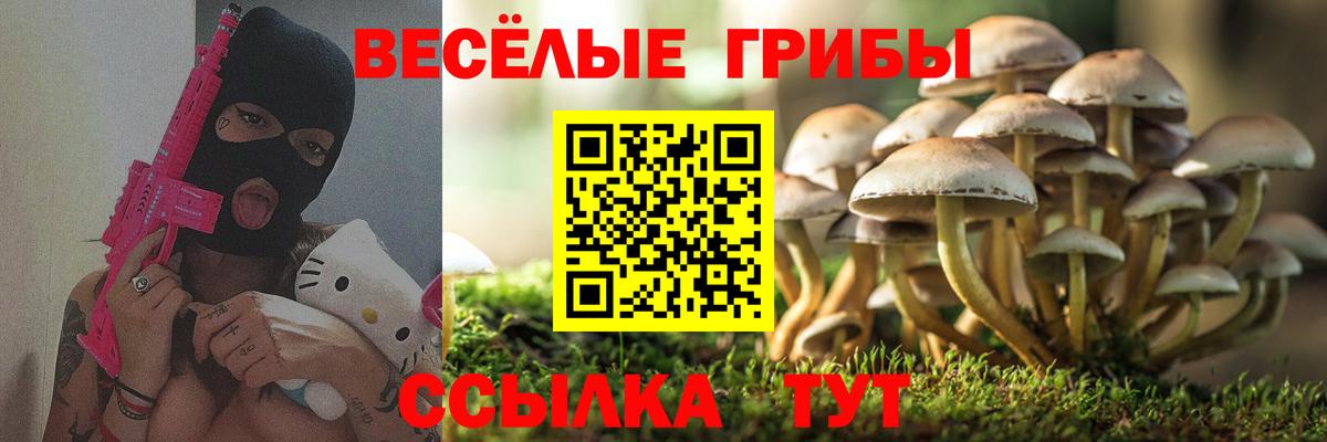 Псилоцибиновые грибы Psilocybine cubensis  Вход с VPN  где купить   Дзержинский 